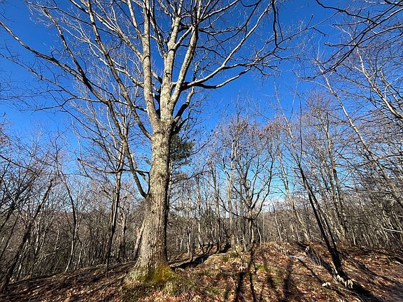 5th image of 0 Lafaver Rd #2