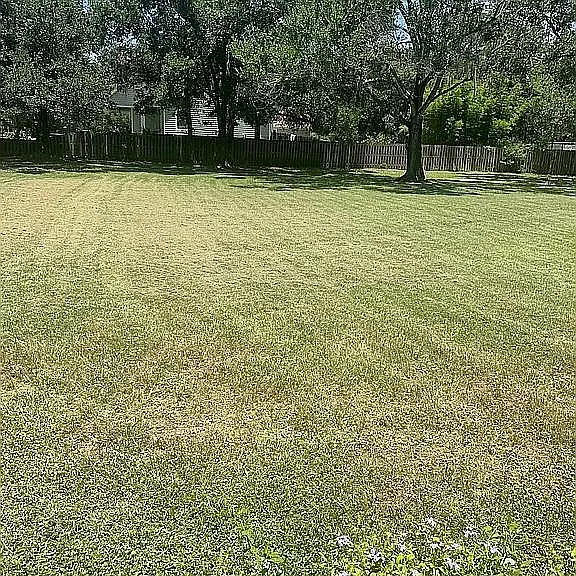 4615 Scott Rd — Photo 37