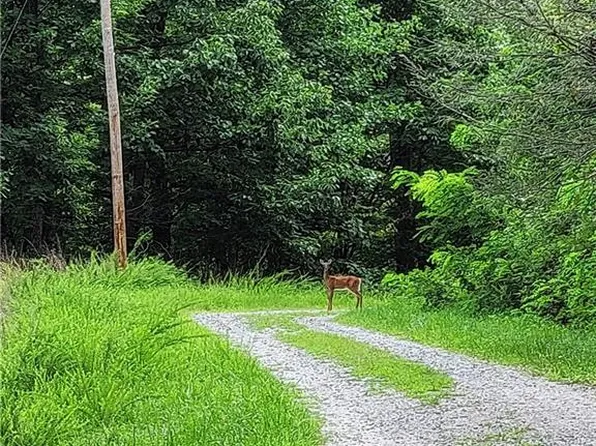 50 Oakview Ln #A, Saluda, NC 28773