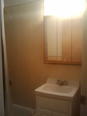 Rented by RC Realty Group of New York Inc | media 46