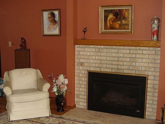 Gas fireplace