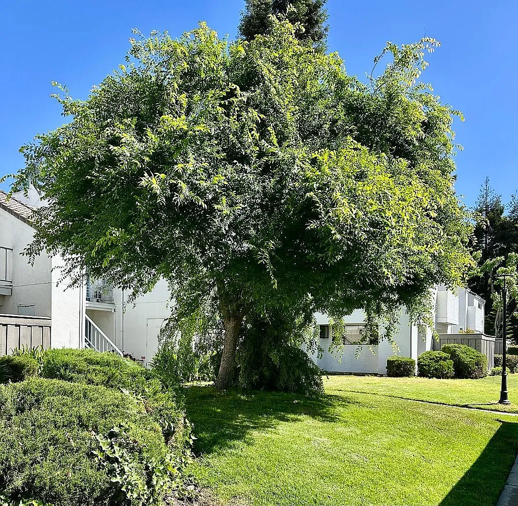 1 bed, 632 sqft, $2,200 — Photo 3