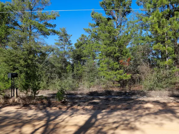 24 E Marigold Ave, Defuniak Springs, FL 32433