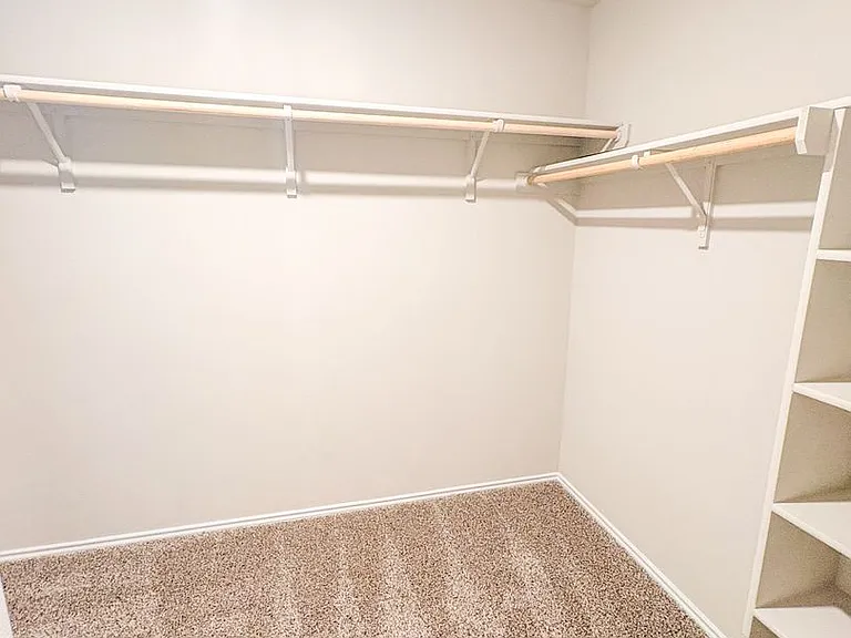 6401 Coneflower Dr — Photo 13