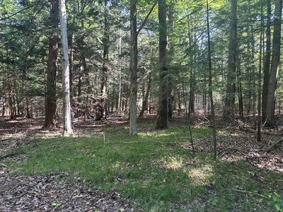 Creekside Ln, Egg Harbor, WI, 54209