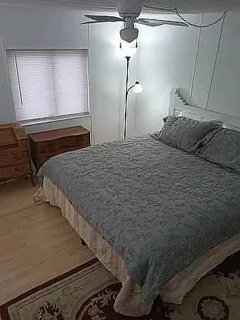 KING SIZE BED HUGE LIGHTED BEDROOM WITH SEVERAL WINDOWS TO BACK YARD. CEILING FAN WITH LIGHT.