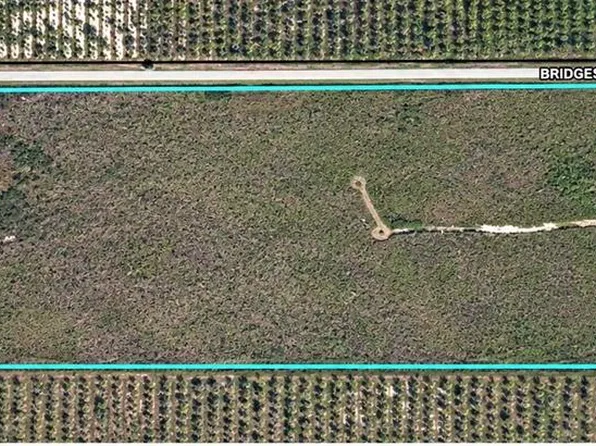 0 BRIDGES ROAD, ONA, FL 33865