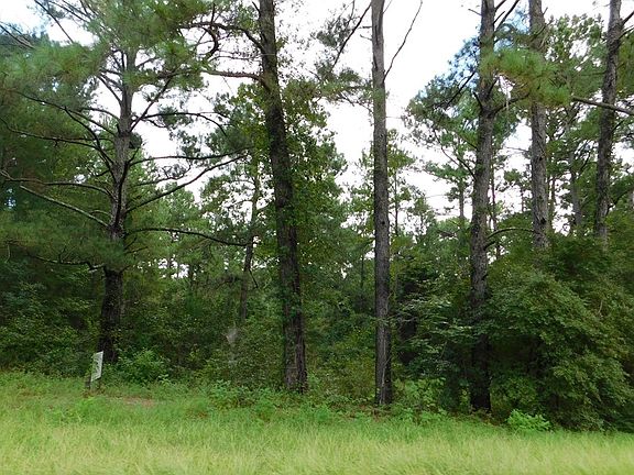 2nd image of 0 County Line Rd