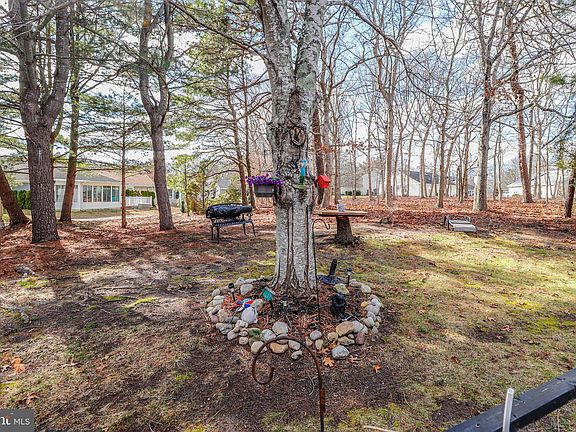 5th image of 11 Poplar Ct