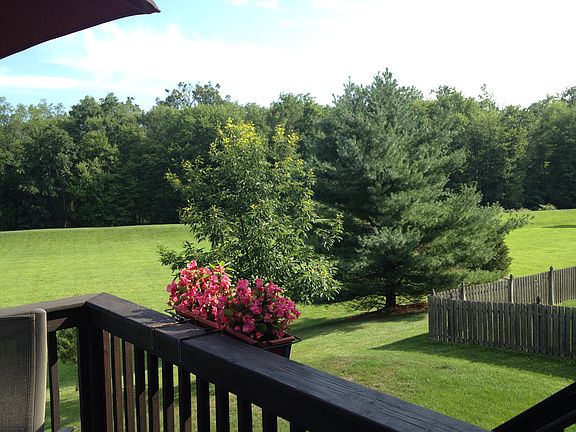 Back Yard Scenery