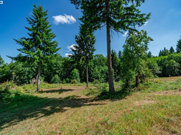 120 Red Hawk Dr #2, Castle Rock, WA 98611