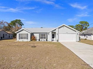 14163 Dolphin St, Spring Hill, FL 34609