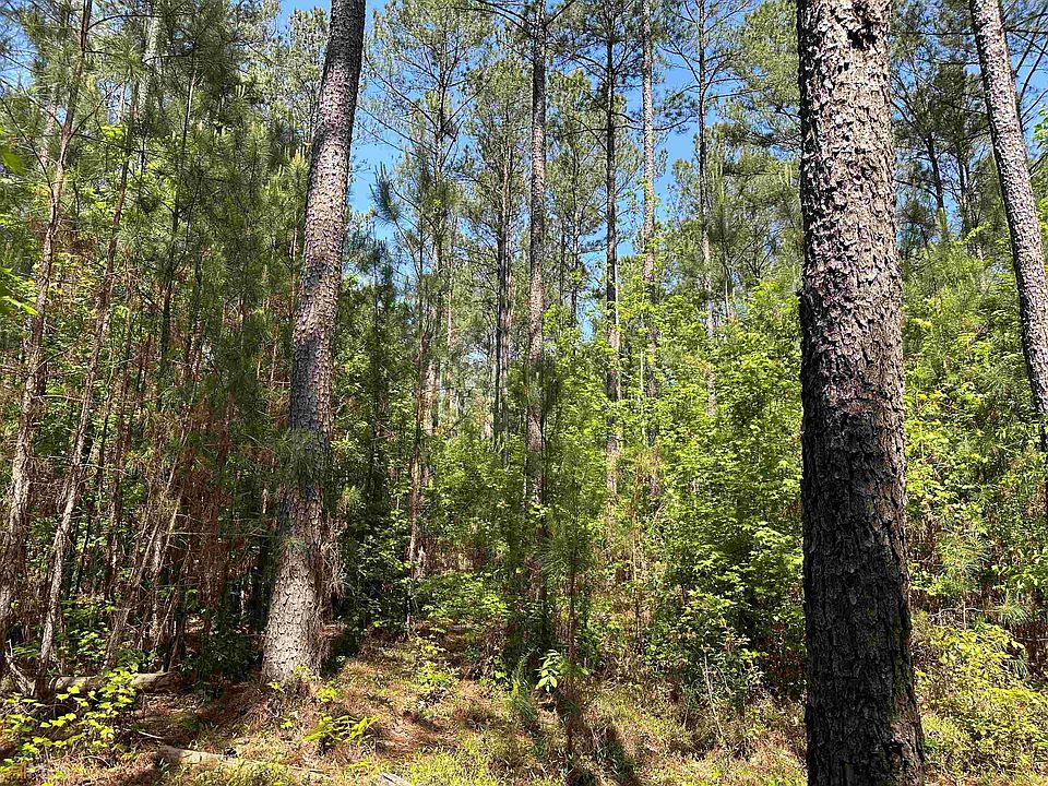 0 Old Balls Ferry Rd, Toomsboro, GA 31090 MLS 20117956 Zillow