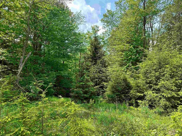 98 Canal St, Davis, WV 26260