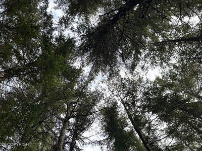 L17 B Malcolm St #11, Seldovia, AK, 99663