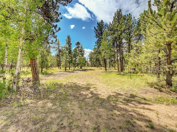 Stage Coach Lane LOT 41, Bailey, CO 80421