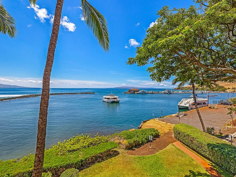 30 Hauoli St #310 — Photo 34