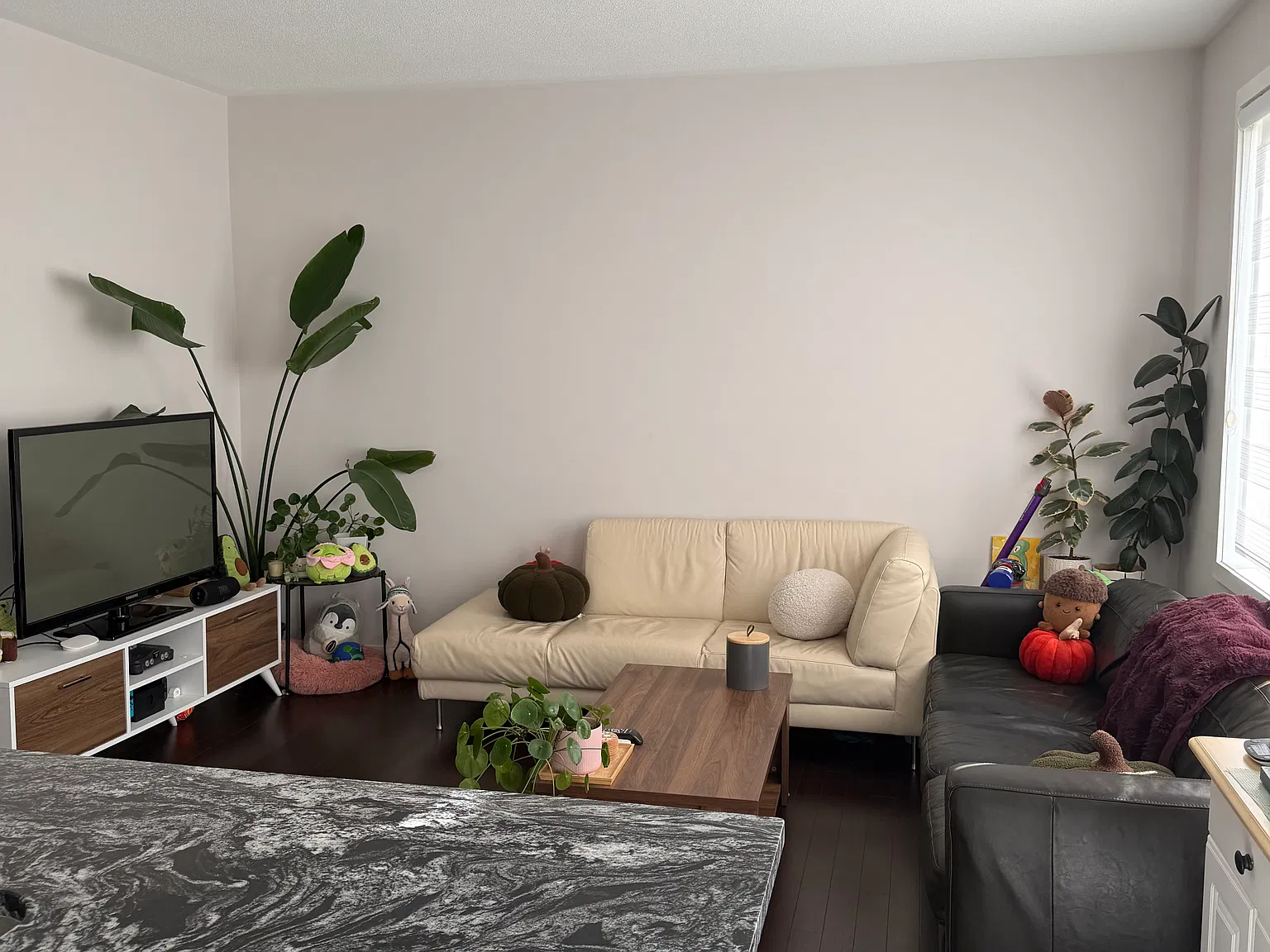 3 bed, 2.5 bath, 2000 sqft, $2,599 — Photo 3