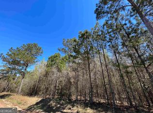 802 Joe Chambers Rd, Forsyth, GA 31029