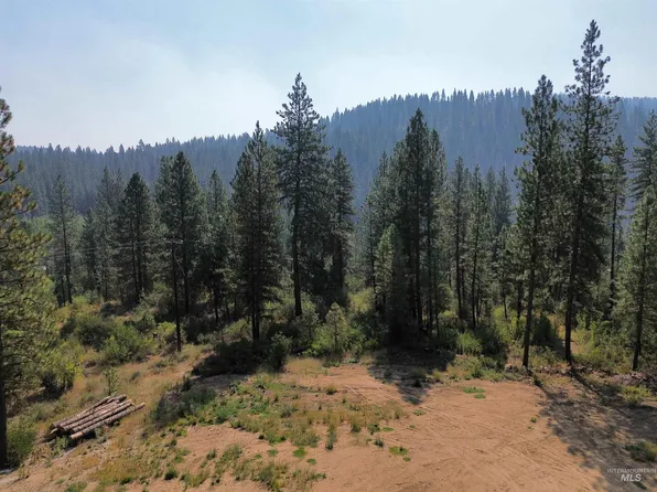 2.92 Manning Ln, Idaho City, ID 83631