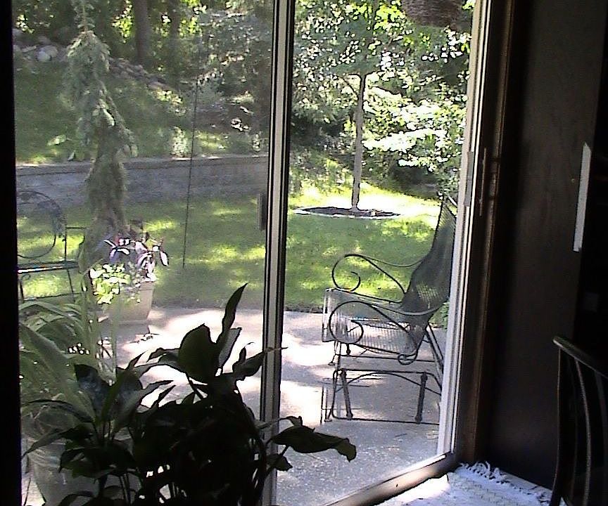 View to backyard