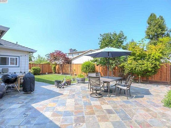 Back yard