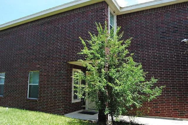 3 bed, 2.5 bath, 1206 sqft, $1,400 — Photo 4