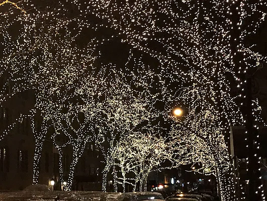 Sold by Brown Harris Stevens | media 18