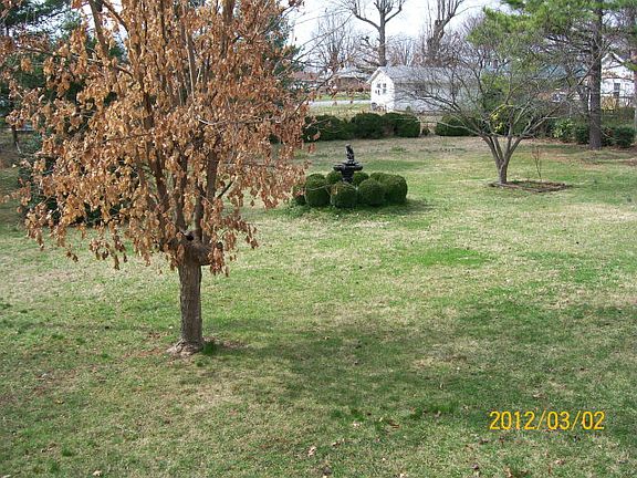 3rd image of 307 Vaden Dr