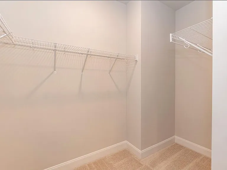 316 Hopewell Branch Ct — Photo 4