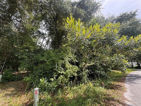 5th image of SW 98TH LOOP LOT 2