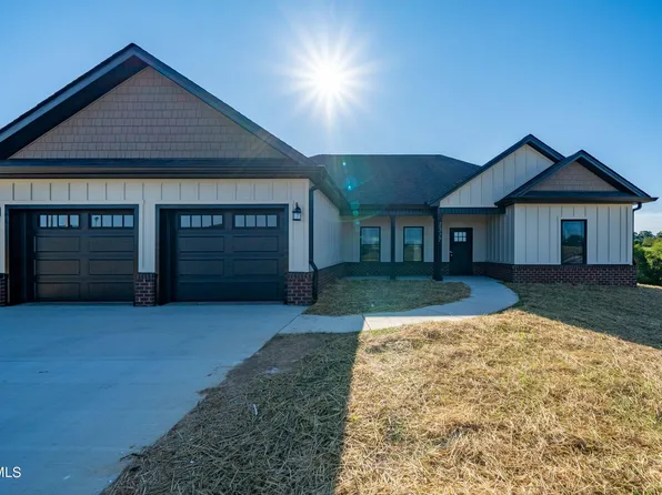 1317 Bowmantown Rd, Limestone, TN 37681