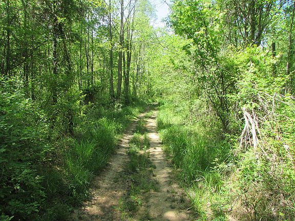 3rd image of Timberland Dr