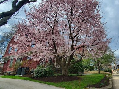 40 Hastings St, West Roxbury, MA, 02132