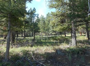 30298 San Isabel Rd, Buena Vista, CO 81211