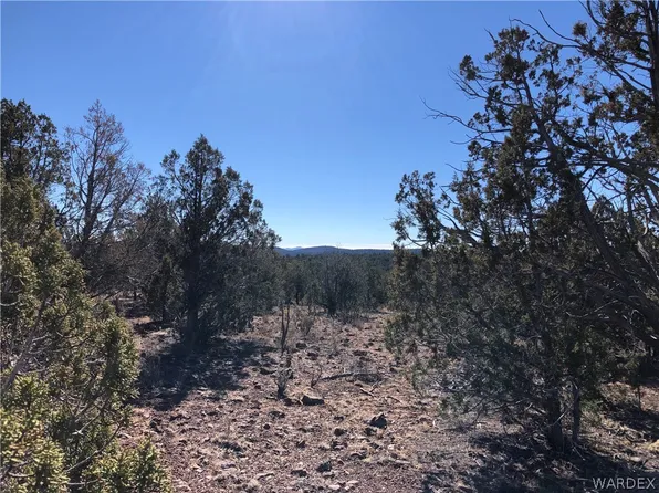 Antelope Valley Ranches, Peach Springs, AZ 86434