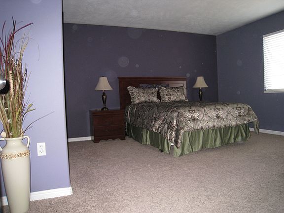 4th image of 1195 E Privet Dr