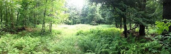 4th image of 207 Moore Drive