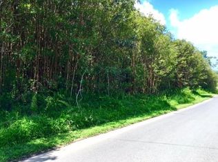 Pohaku Dr LOT 36, Kurtistown, HI 96760