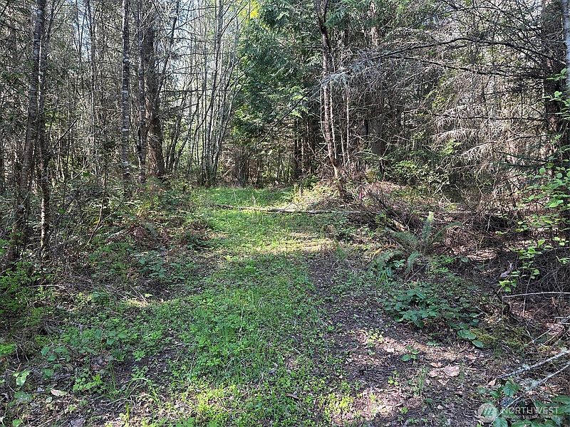 4th image of 9999 Pristine Lane, Lot 3