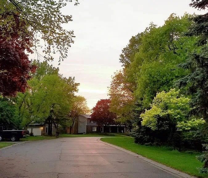 Hallmark Ct — Photo 19