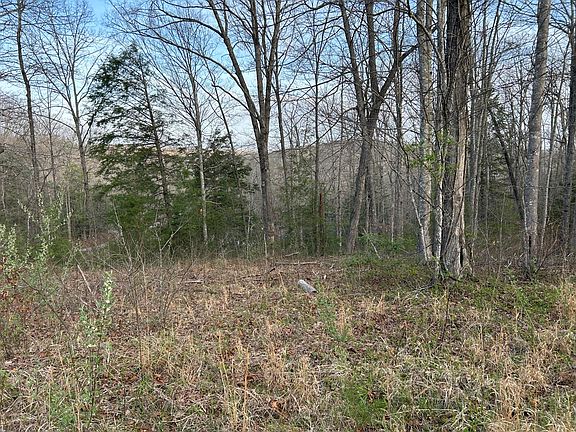 3rd image of 0 Highway 674