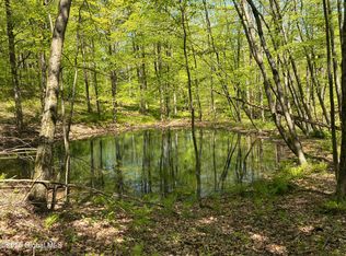 L21.3 County Route 5 & I90, Canaan, NY 12060