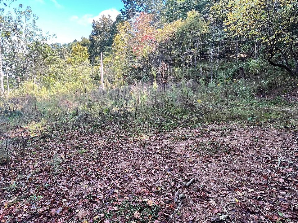 1521 Mount Holston Rd, Bluff City, TN 37618 MLS 9957999 Zillow