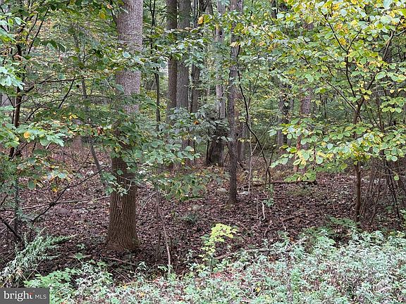 5th image of 541 Hemlock Ln #L-0024