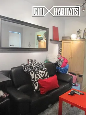 Rented by Citi Habitats | media 41