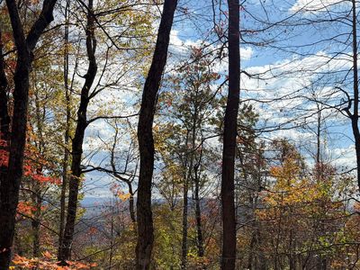Muddy Creek Mountain Rd, Lewisburg, WV, 24901