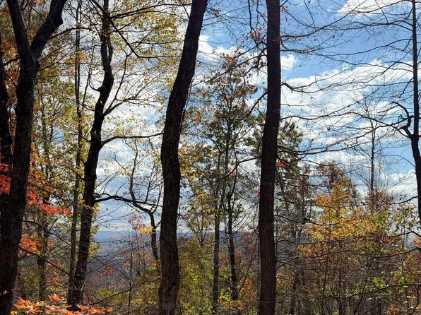 Muddy Creek Mountain Rd, Lewisburg, WV 24901