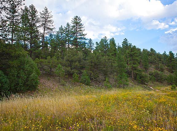 4th image of 8400 County Road 28