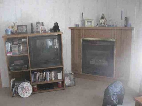 Fireplace in Living Room